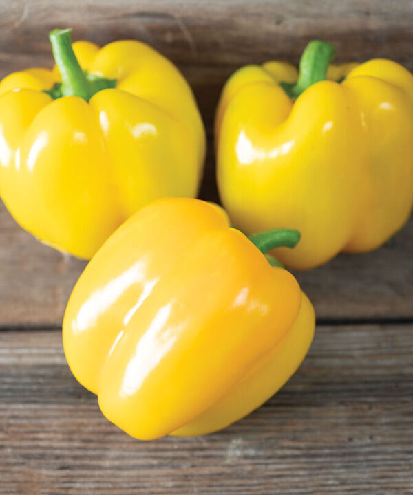 Amaretto - Organic Yellow Bell Pepper Seeds