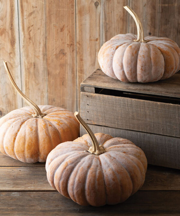 Wan Fu - Chinese Pumpkin Seeds