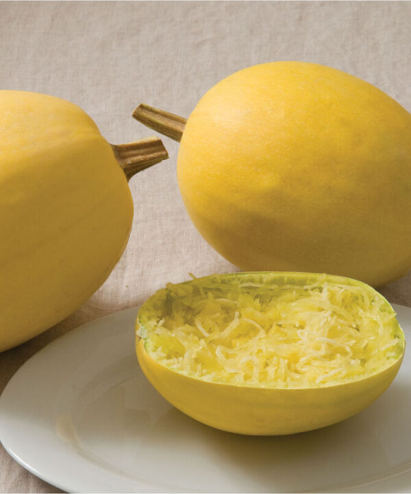 Spaghetti Squash - Organic Vegetable Seed