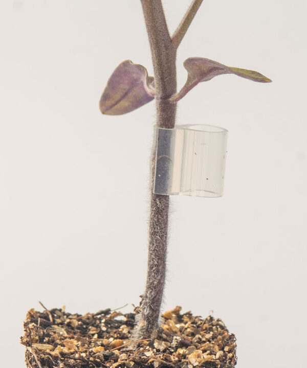 Top-Grafting Clips with Channel – 2.2 mm