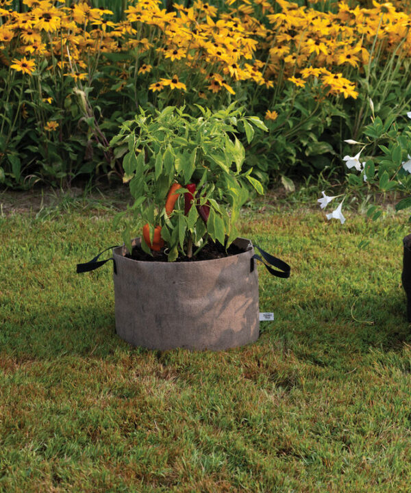 Smart Pot Natural – 10 Gal.