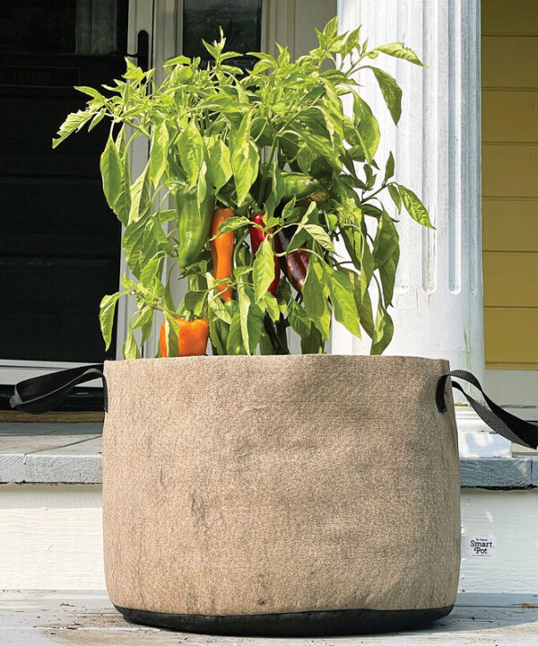 Alternative view of Smart Pot Natural – 10 Gal.