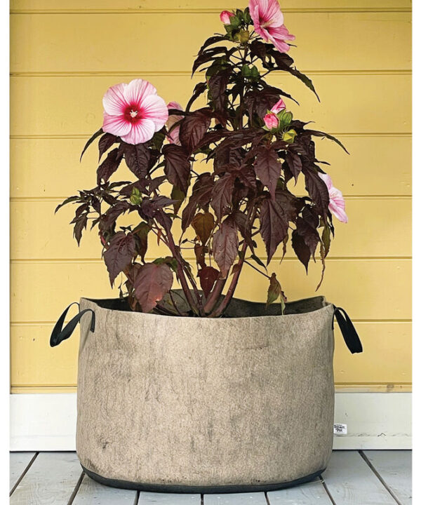 Alternative view of Smart Pot Natural – 30 Gal.