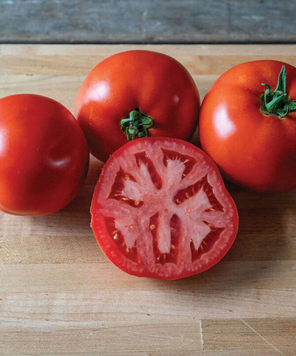 Firebird - (F1) Tomato Seed