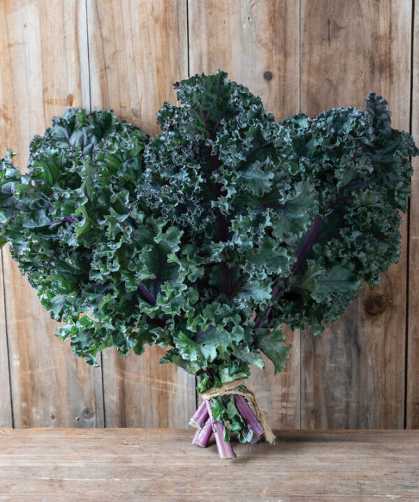 Rubybor - Purple Curly Kale Seeds