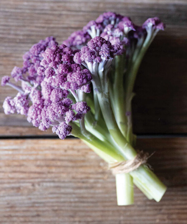 Murasaki Fioretto 70 - Purple Sprouting Cauliflower Seeds