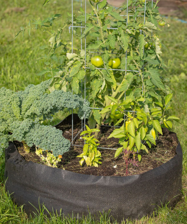 Bag Bed – Junior | Fabric Raised Bed