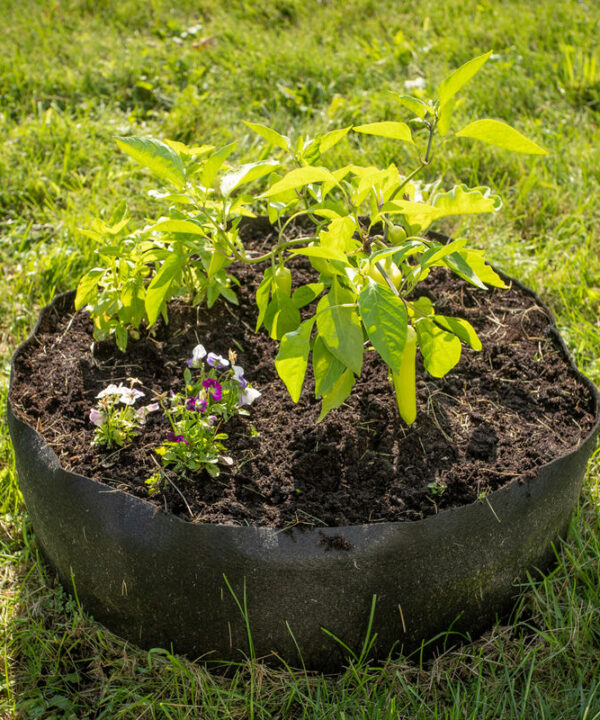 Bag Bed – Mini | Fabric Raised Bed